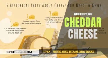 The Cheddar Legend: Unveiling the Ancient Cheese Discovery