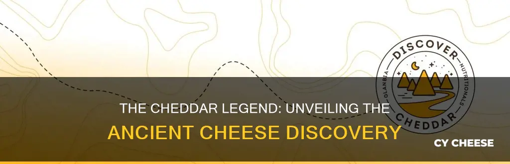 who discovered cheddar cheese