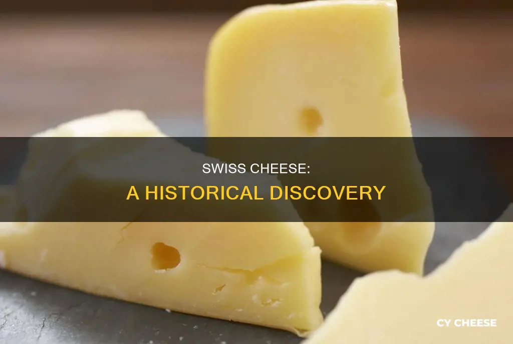 who discovered swiss cheese