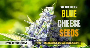 The Ultimate Blue Cheese Seed Source Revealed
