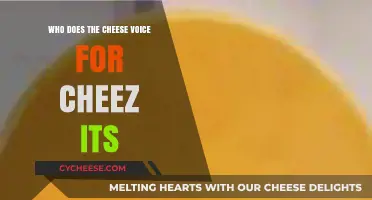 Unveiling the Voice Behind Cheez-It's Iconic Cheese Commercials