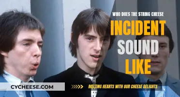 String Cheese Incident: Similar Artists and Their Sound