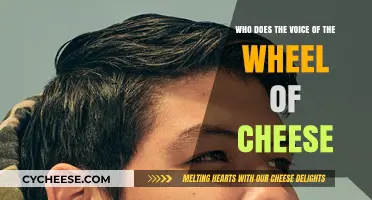 Who Voices the Wheel of Cheese? Uncovering the Talent Behind the Role