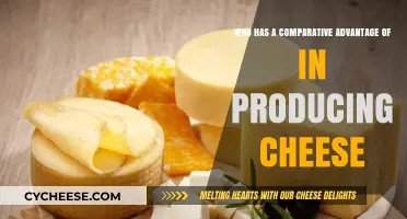 Comparative Advantage in Cheese Production: Who Leads the Dairy Industry?