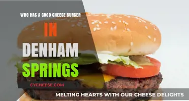 Denham Springs' Best Cheese Burgers: Top Spots to Try Now