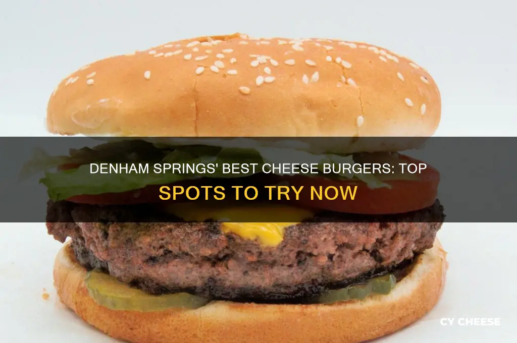 who has a good cheese burger in denham springs