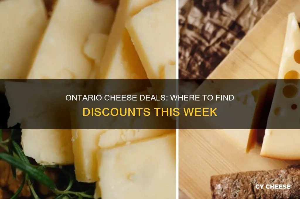 who has cheese on sale this week in ontario