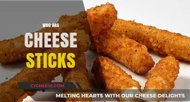 Who Sells Cheese Sticks? Top Restaurants and Stores to Try