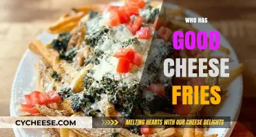 Discover the Best Cheese Fries: Top Spots for Cheesy Goodness