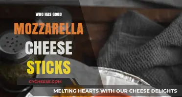 Discover the Best Mozzarella Cheese Sticks: Top Picks and Recommendations