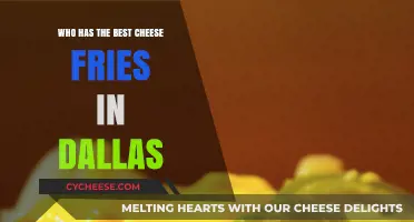 Cheese Fries in Dallas: Where to Find the Best