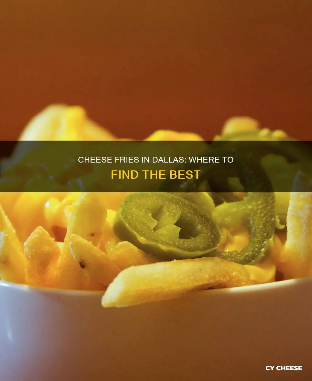who has the best cheese fries in dallas