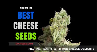 Cheese Seeds: Who's Got the Best?