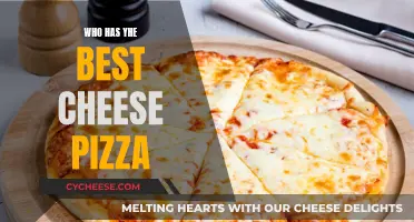 Cheese Pizza Showdown: Who Reigns Supreme?