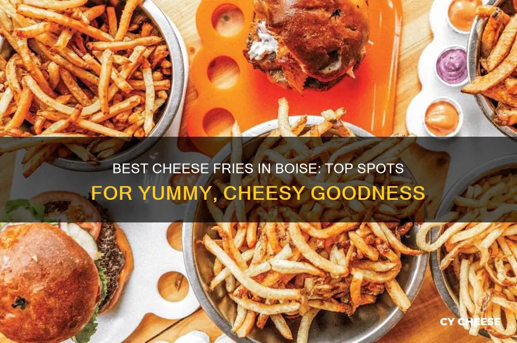 who has yummy cheese fries in boise idaho