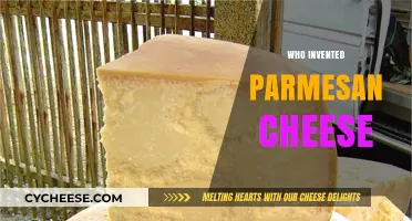 The Man Behind Parmesan Cheese