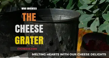 The Surprising History of Who Invented the Cheese Grater