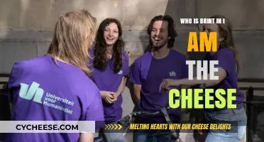 Unraveling Brint's Role in 'I Am the Cheese': A Deep Dive