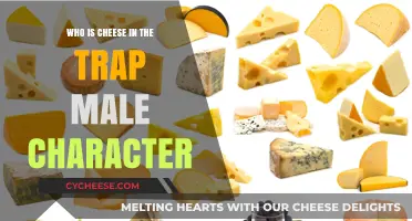 Unveiling the Mystery of Cheese in the Trap's Male Lead