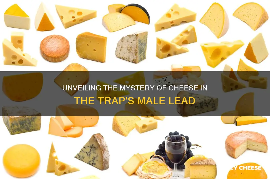 who is cheese in the trap male character