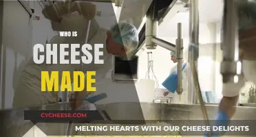 The Art of Cheesemaking: Unveiling the Masterminds Behind the Curds