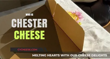Unveiling the Mystery: Who is Chester Cheese and His Legacy?