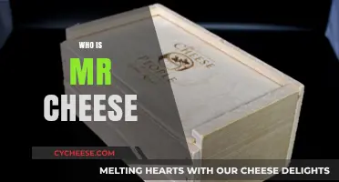 Unveiling the Mystery: Who is Mr. Cheese and Why He Matters