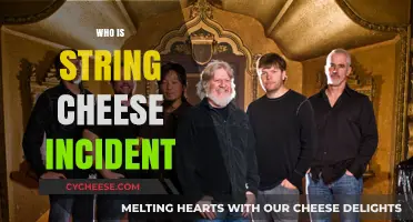 Who is String Cheese Incident? Exploring the Jam Band's Legacy