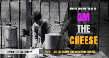 Unveiling the Mystery: Who is the Gray Man in 'I Am the Cheese'?