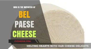 Discovering the Global Importer of Bel Paese Cheese: A Comprehensive Guide