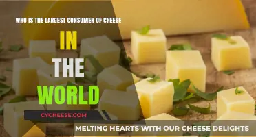 Global Cheese Consumption: Who Tops the World's Cheese-Loving Nations?
