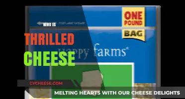 Who is Thrilled Cheese? Unveiling the Story Behind the Iconic Brand