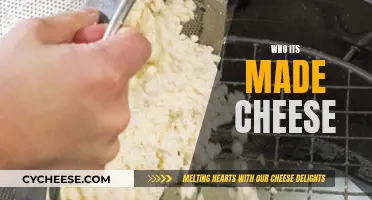 The Artisans Behind Cheese: Masters of Dairy Craft