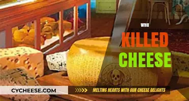 Who Killed Cheese? Uncovering the Mystery Behind a Dairy Icon's Demise