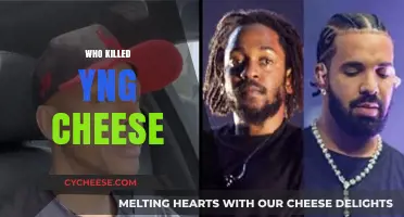 Unraveling the Mystery: Who Killed Yng Cheese and Why?
