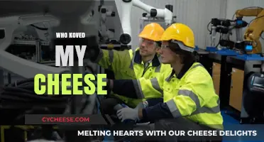 Who Moved My Cheese? Embracing Change and Finding New Opportunities