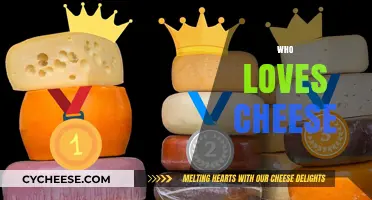 Who Loves Cheese? Exploring the Global Passion for Cheesy Delights