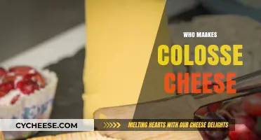 Who Makes Colosse Cheese? Unveiling the Artisan Behind the Brand