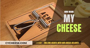 Who Moved My Cheese: Navigating Change in Life