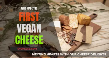Vegan Cheese: Who Created This Dairy-Free Delight?