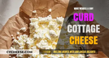 Discovering the Artisans Behind Dry Curd Cottage Cheese Production