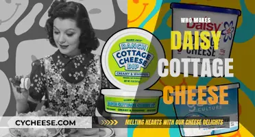 Who Makes Daisy Cottage Cheese? Unveiling the Creamy Brand's Origin