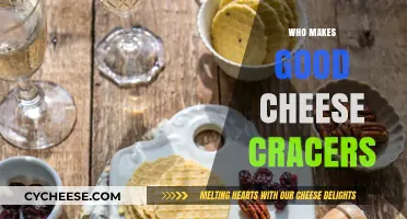 Discovering the Best Cheese Cracker Makers: A Tasty Guide