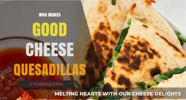 Mastering the Art of Perfect Cheese Quesadillas: Top Tips and Tricks