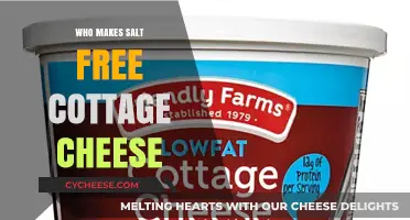 Discovering Brands That Make Salt-Free Cottage Cheese: A Healthy Choice