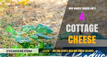 Unveiling the Producer Behind Trader Joe's Cottage Cheese Delight