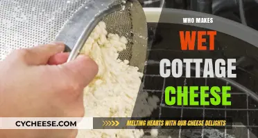 Who Makes Wet Cottage Cheese: Uncovering the Producers Behind the Creamy Delight