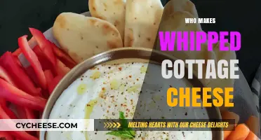 Discovering the Creamy Delight: Who Makes Whipped Cottage Cheese?