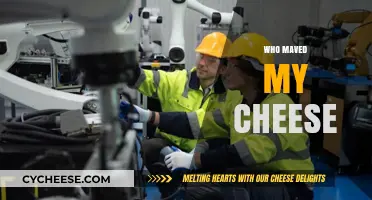 Who Moved My Cheese? Navigating Change and Embracing New Opportunities