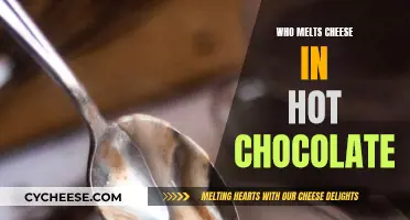 Hot Chocolate with Melted Cheese: A Delicious Indulgence